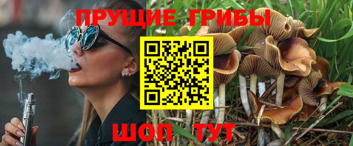 Галлюциногенные грибы MAGIC MUSHROOMS  продажа наркотиков  Сызрань  Вход с VPN  Псилоцибиновые грибы Magic Shrooms 